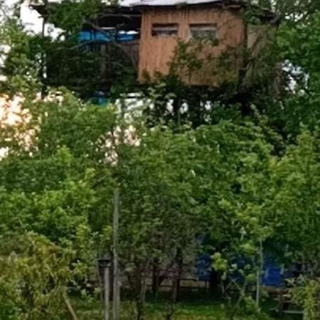 Apartament Eagle Nest Martwili Zewnętrze zdjęcie