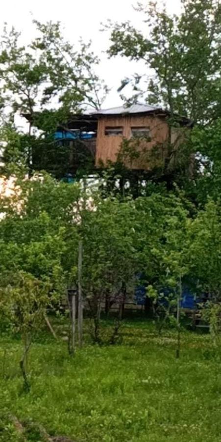 Apartament Eagle Nest Martwili Zewnętrze zdjęcie