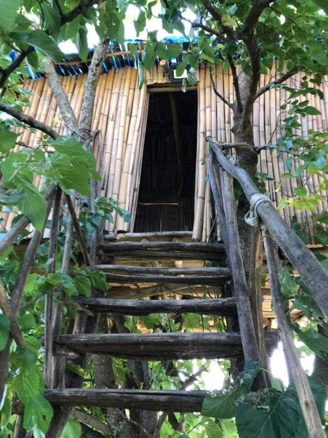 Apartament Eagle Nest Martwili Zewnętrze zdjęcie