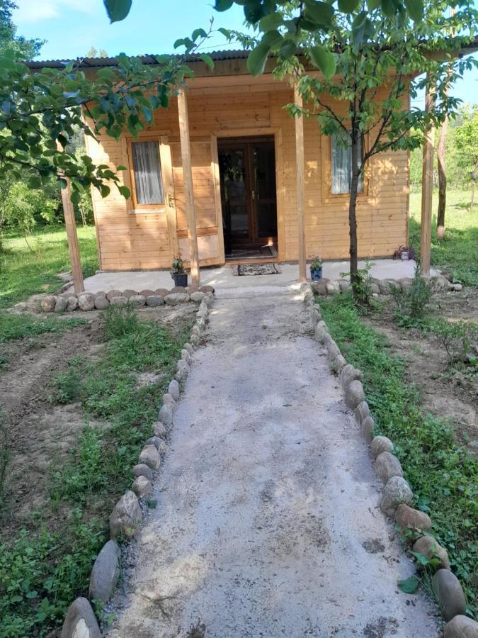 Apartament Eagle Nest Martwili Zewnętrze zdjęcie