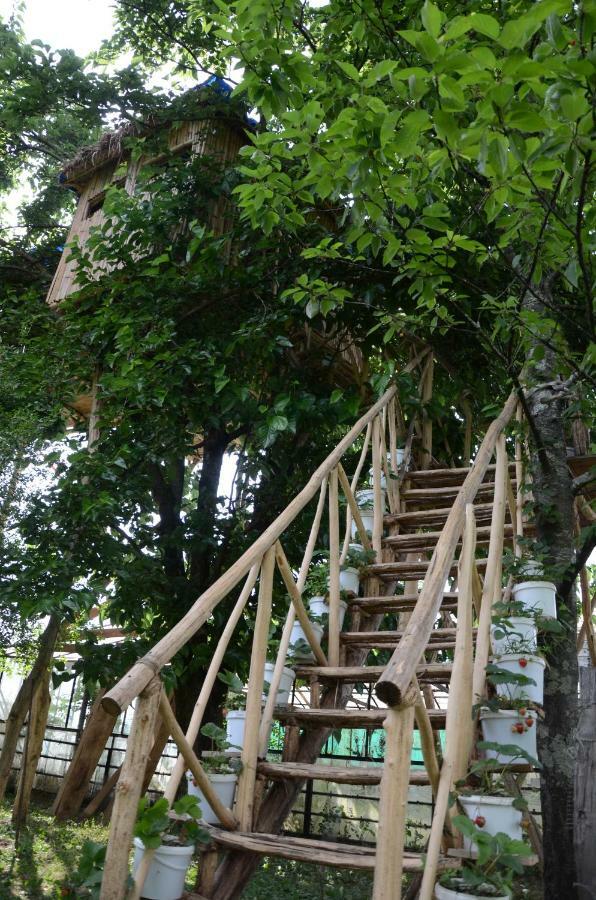 Apartament Eagle Nest Martwili Zewnętrze zdjęcie