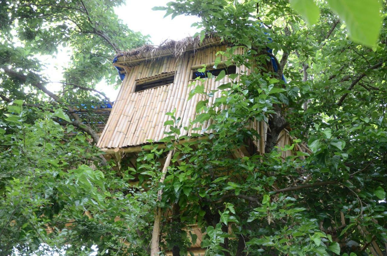 Apartament Eagle Nest Martwili Zewnętrze zdjęcie