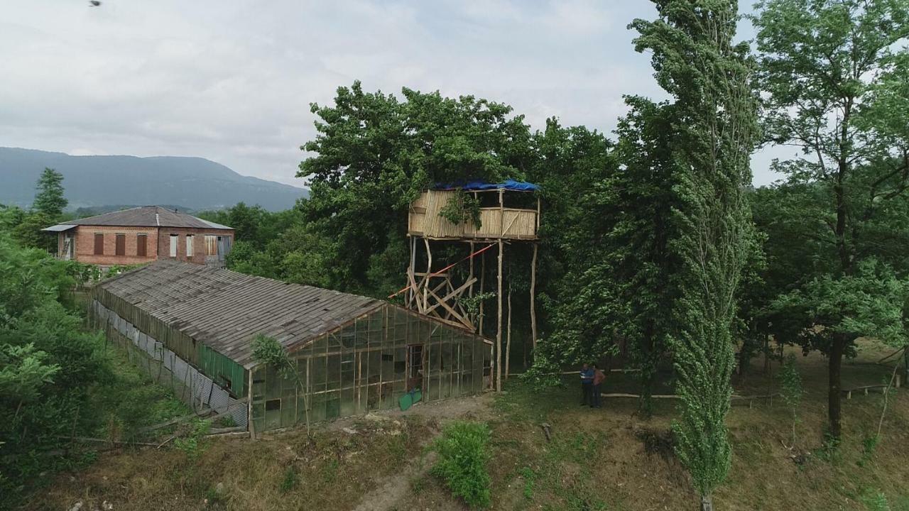 Apartament Eagle Nest Martwili Zewnętrze zdjęcie